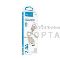 Кабель Usb to Micro HOCO X110 Honorific, 1.0м, нейлон, 2.4А, цвет: золотой (1/31/310) Кабель Usb to Micro HOCO X110 Honorific, 1.0м, нейлон, 2.4А, цвет: золотой (1/31/310)