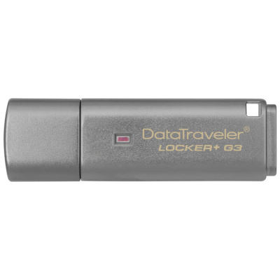 Флешка USB3.0 128 Гб Kingston  DTLPG3 Encryption  (256 bit)