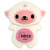 Флешка USB, 16 Гб Mirex SHEEP PINK (ecopack) Флешка USB, 16 Гб Mirex SHEEP PINK (ecopack)